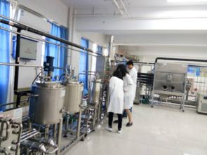 綠色農畜產品生產與加工行業技術開發基地的技術開發與創新